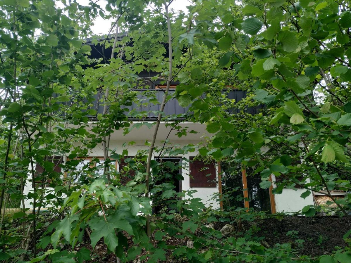 Ferienhaus Frankenglueck Egloffstein Kültér fotó